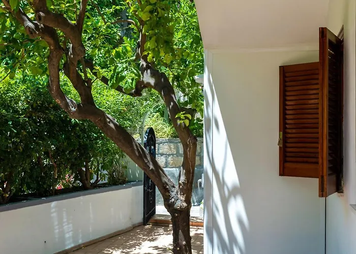 Apartment Lemontree Positano