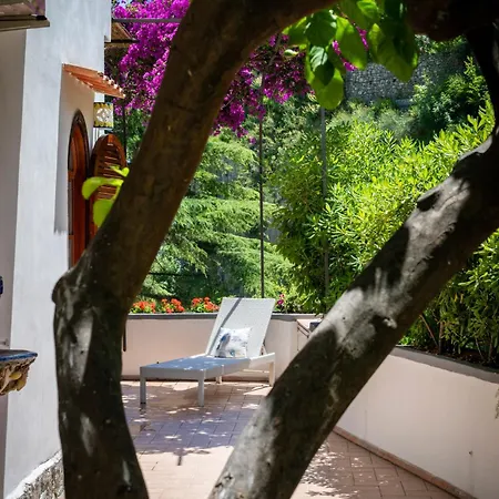 Apartment Lemontree