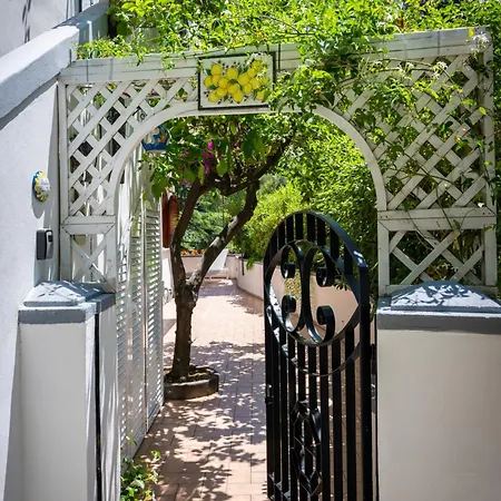 Lemontree * بوسيتانو